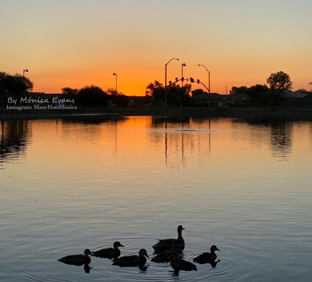 Who Should Educate Our&nbsp;Children?