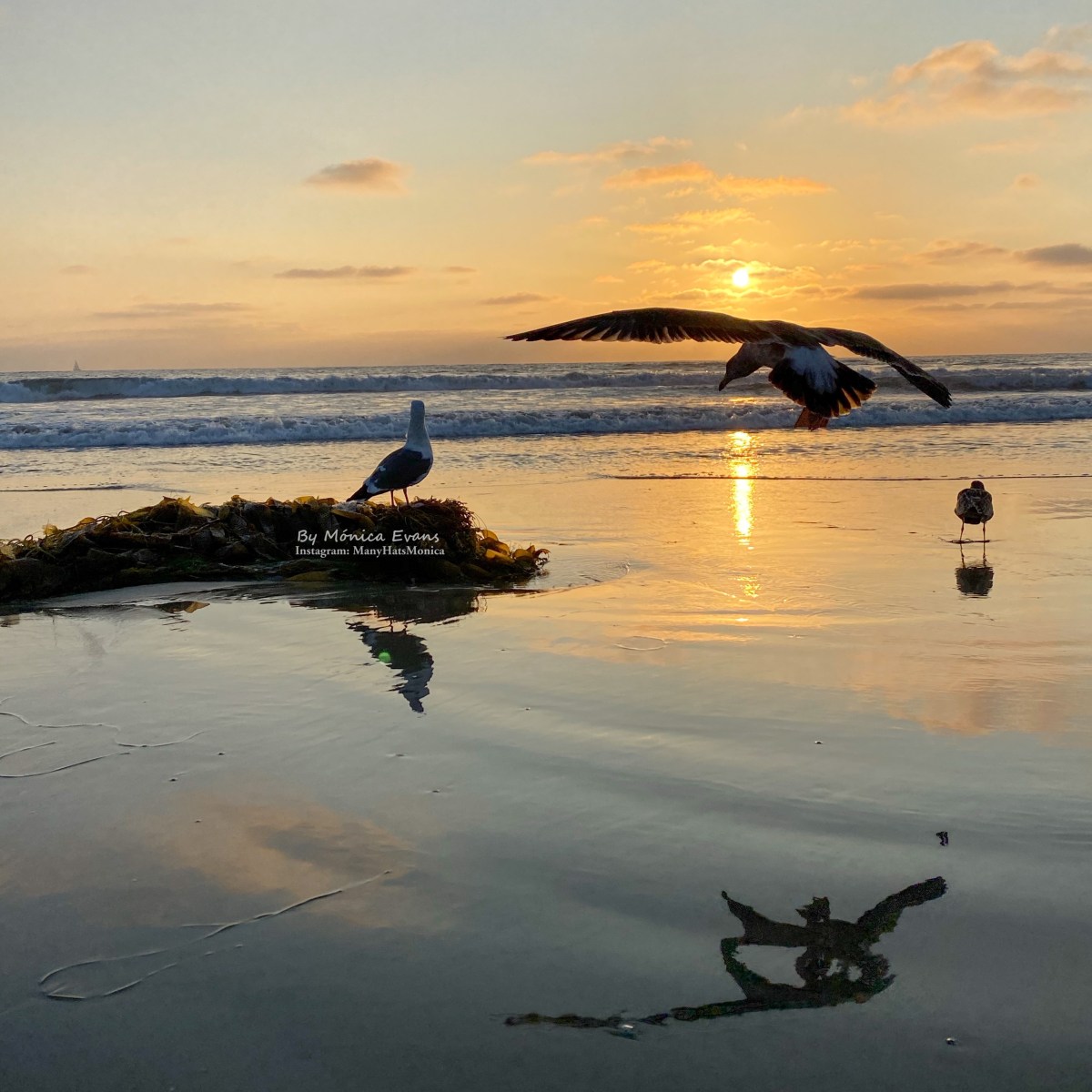 Seasons – Estaciones