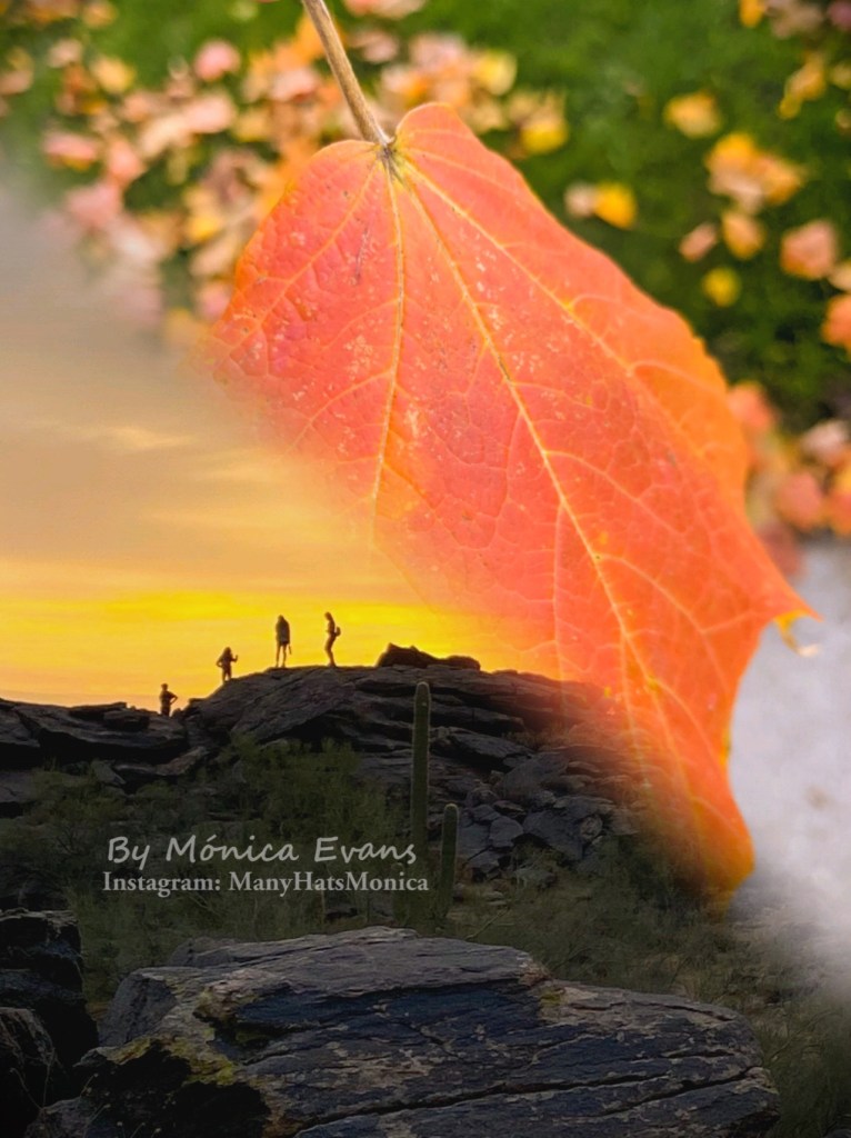 My Favorite Time of the Year is Here! | Mi Epoca Favorita del Año&nbsp;Llego!